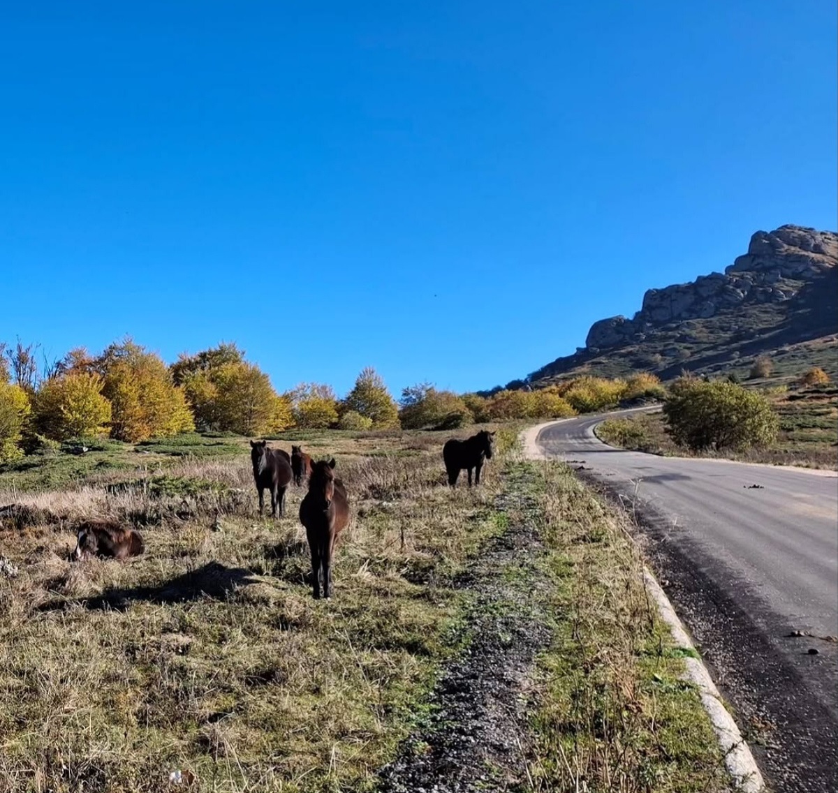 Kao da ste u Švajcarskoj: Prelepi pogledi sa srpske planine izazivaju posebno oduševljenje