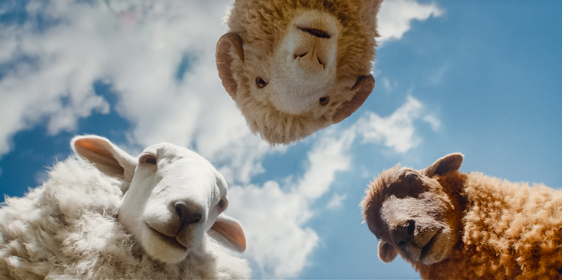 Stižu "Ovce detektivi": Porodična misterija koja će vas nasmejati i dirnuti do suza