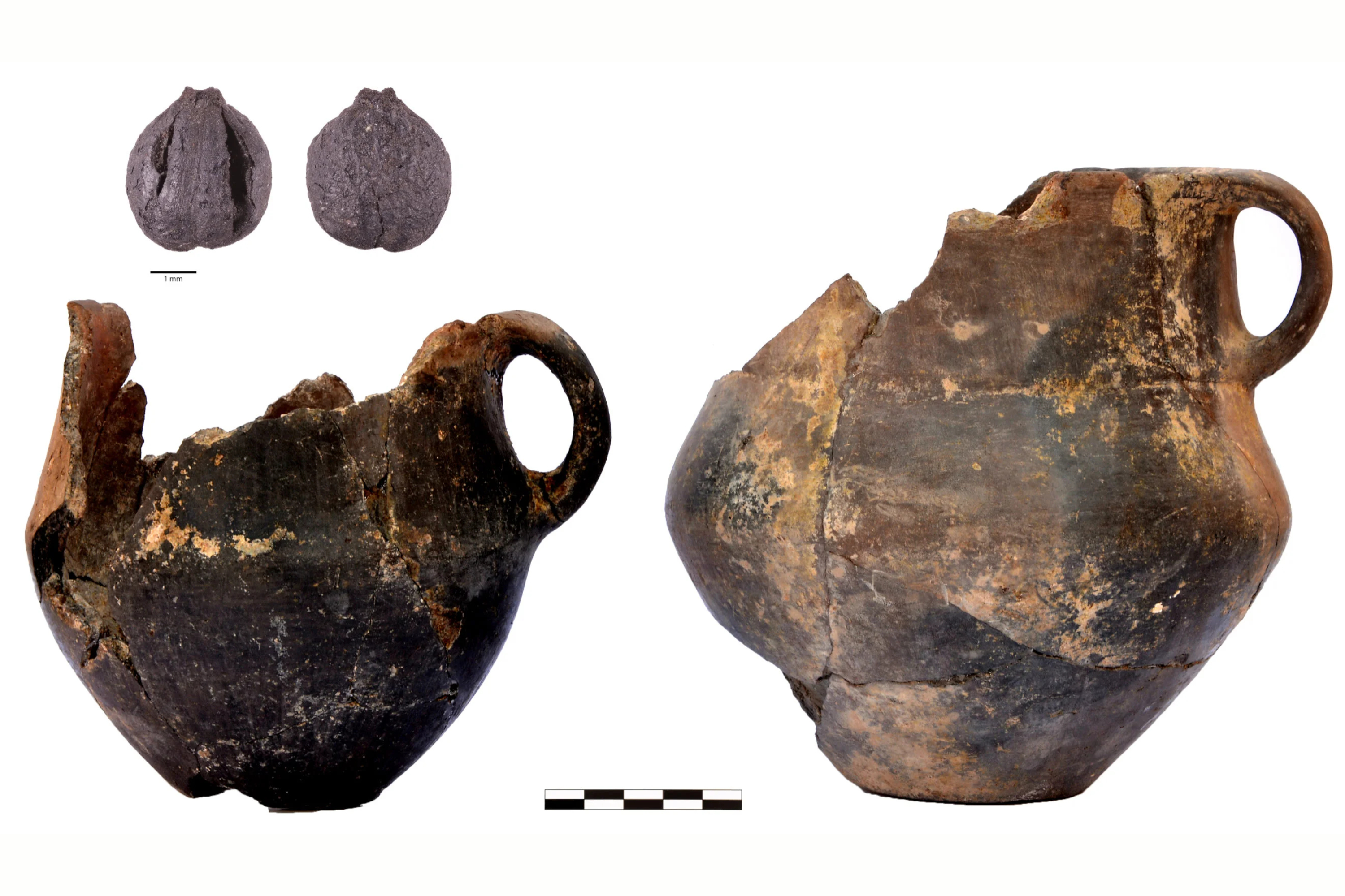 Mlečni proizvodi, voće i napici od grožđa… Naučnici utvrdili šta su jeli i pili narodi Kavkaza bronzanog doba