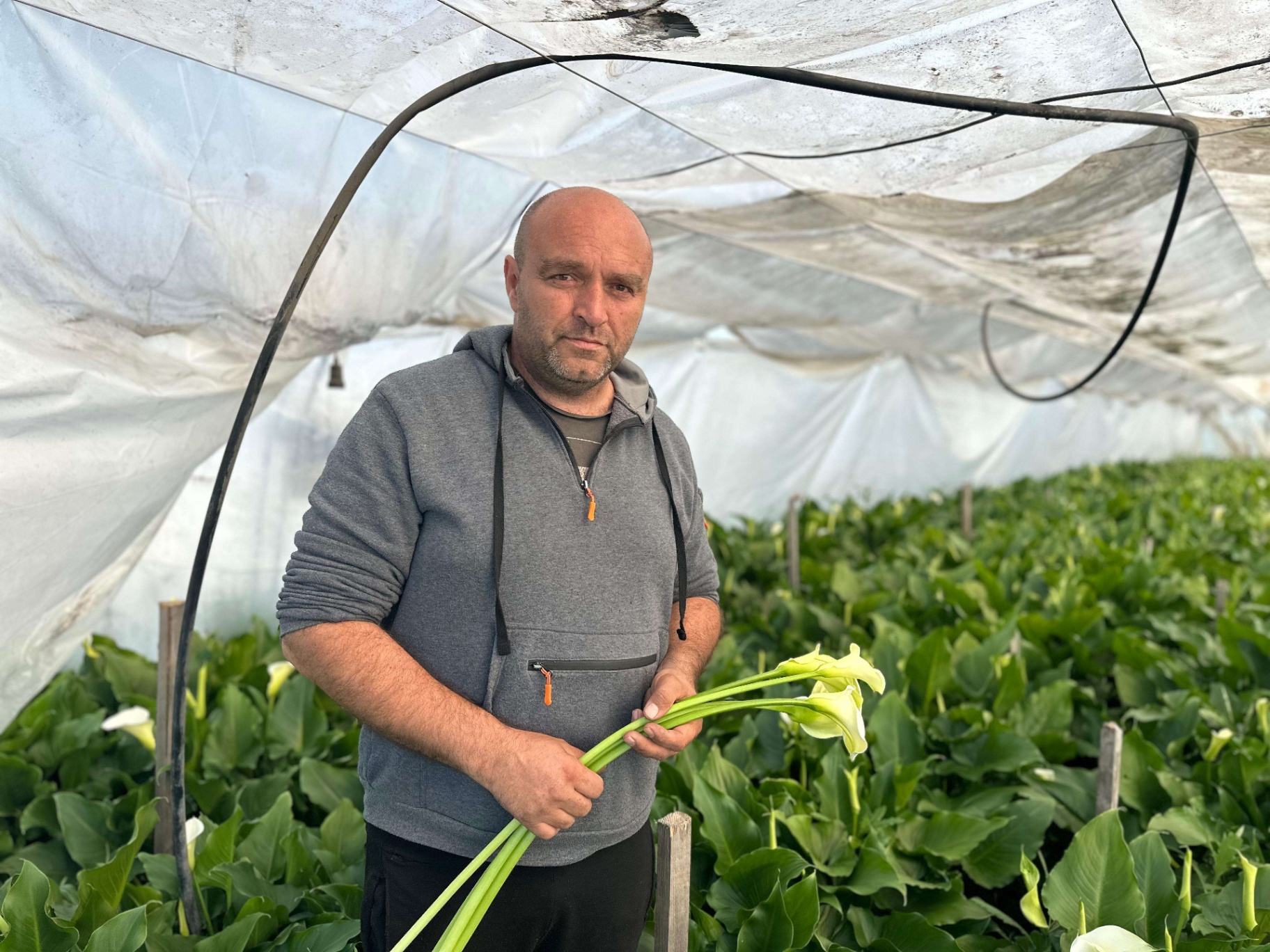 Ovo imanje u srcu Srbije je pravo carstvo: Porodica Galić neguje tradiciju, kod njih dolaze sa svih strana