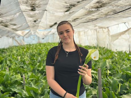 Kale, cveće, porodica Galić