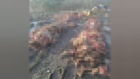 Deponija Goveđak kod Sjenice, štrajk glažu, leševi životinja