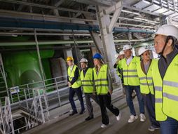 Dubravka Đedović Handanović