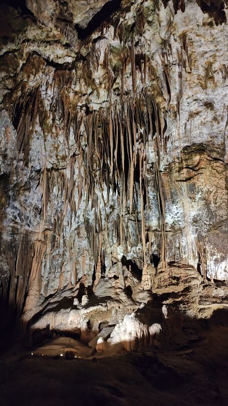 Postojnska jama, Slovenija