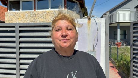Snežana Jovanović Šikica, Šikica