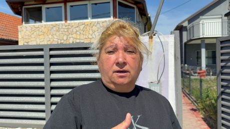 Snežana Jovanović Šikica, Šikica