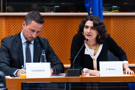 Romi za demokratiju, romska manjina