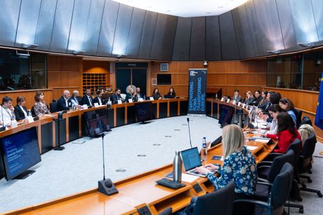 Romi za demokratiju, romska manjina