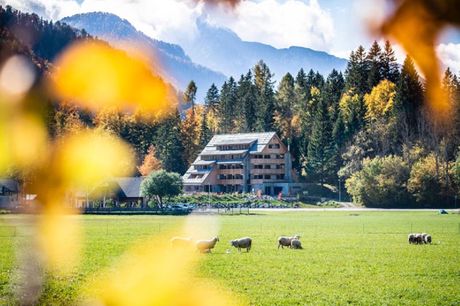 Zgornje Jezersko, Slovenija, Vila Planinka