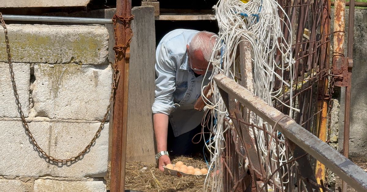 Evo šta radi pevač na imanju: Era Ojdanić se zavukao u kokošinjac - vadi sveža jaja, pa ih odmah pije