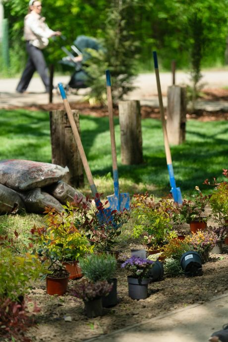 Ozone Residence trim staza