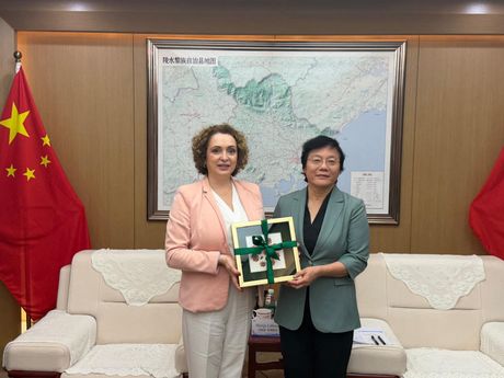 Tursitička organizacija Srbije, TOS, Kina