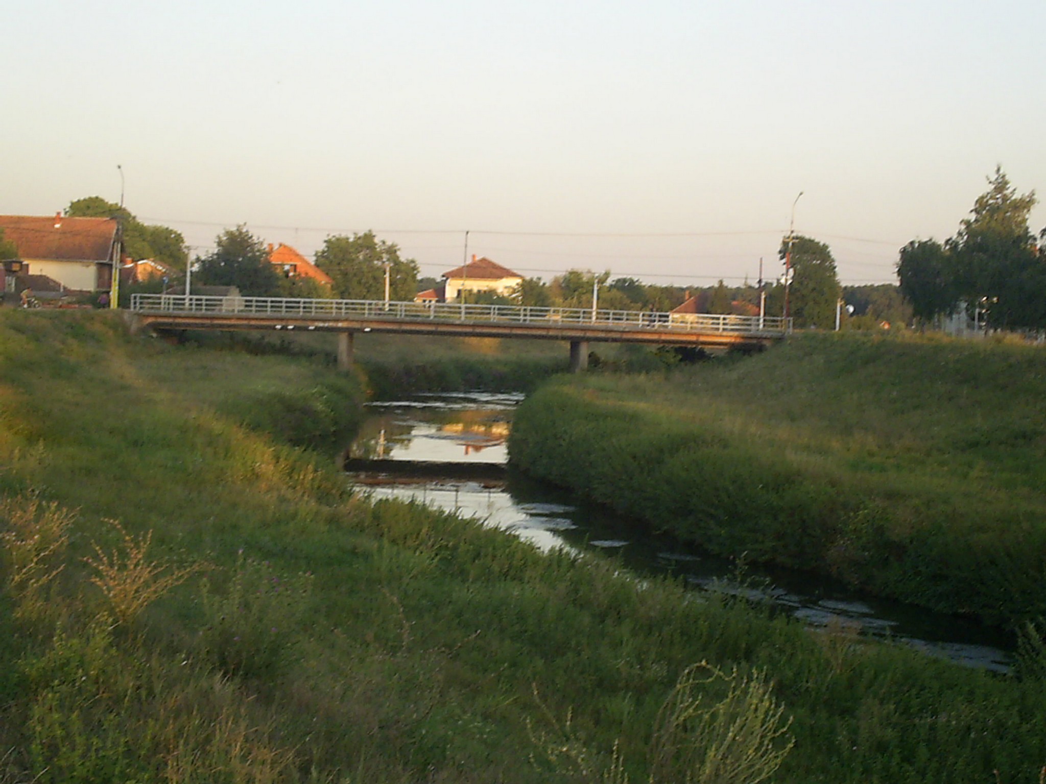 Nekad se kupalo u njenim virovima na toku kroz grad, bila bogata ribom: Lepenica u Kragujevcu promenila boju