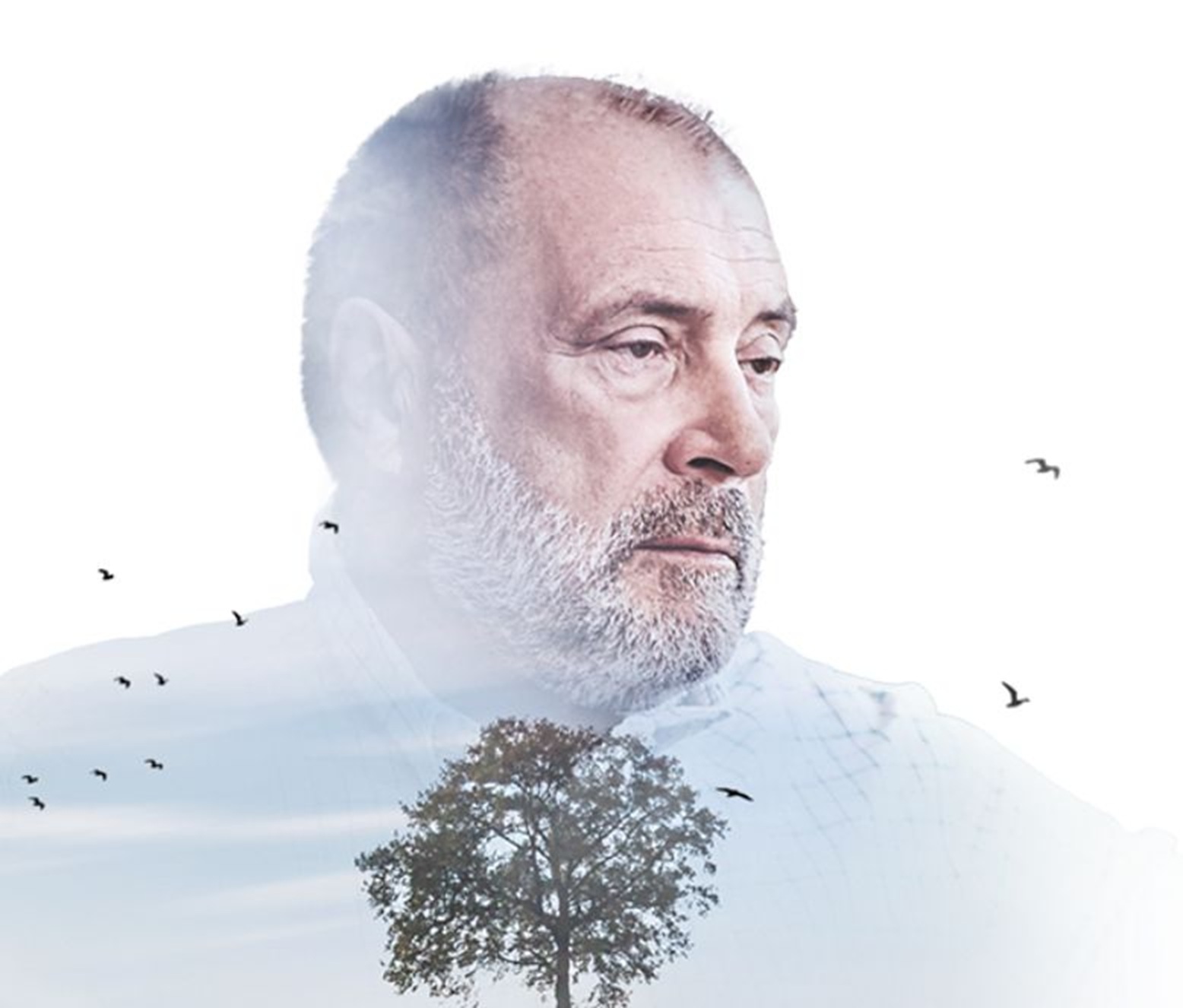 NOVAC KAO KAZNA ILI BLAGOSLOV: Ruski guru tvrdi da bogatstvo uništava one koji ga vole više od života