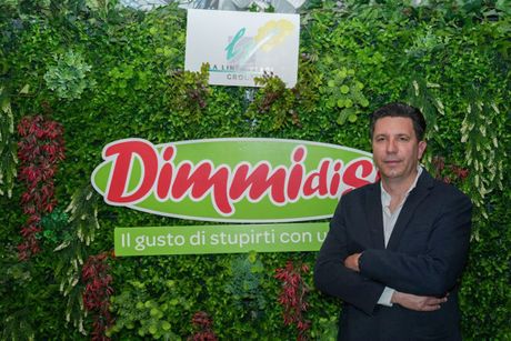 Dimmidisi