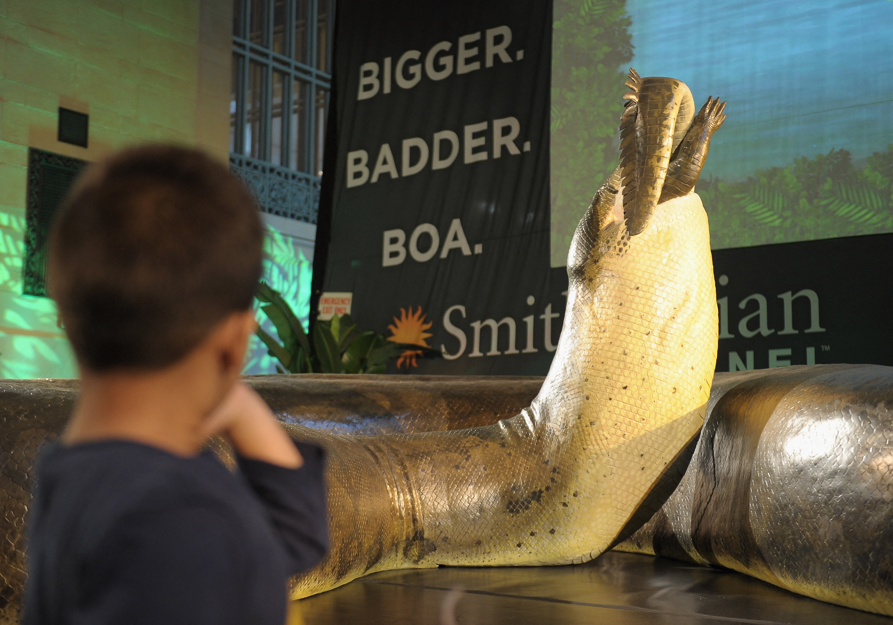 Drevni džin bio je dugačak do 15 metara: Da li je ovo najveća zmija koja se kretala našom planetom?