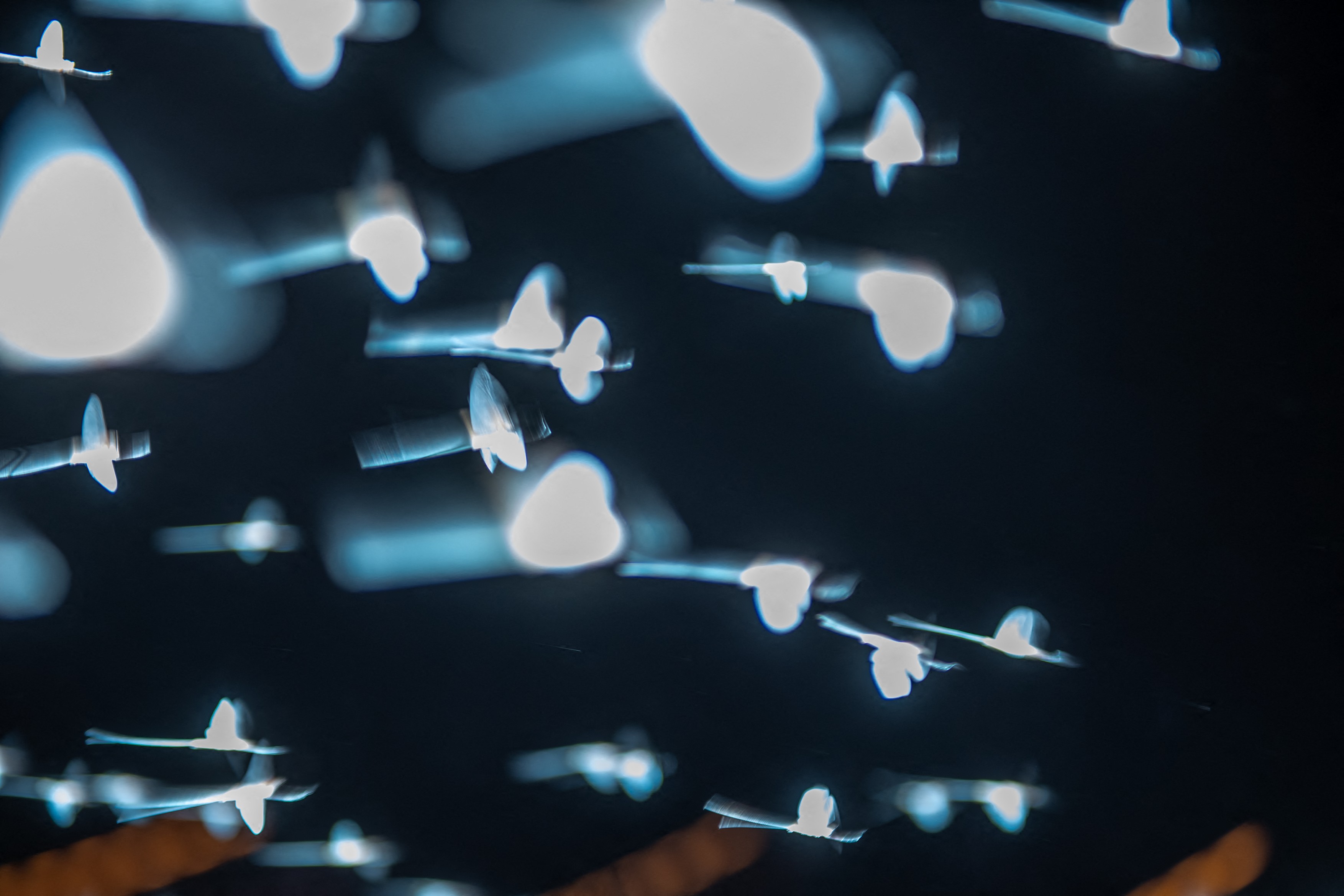 Stariji su od dinosaurusa, pominju se i u Epu o Gilgamešu: Otkrivena tajna vodenih cvetova