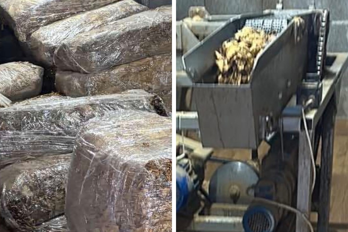 REKORDNA ZAPLENA NA FRUŠKOJ GORI: Policija oduzela 1,5 tona duvana, razbijen lanac ilegalne trgovine