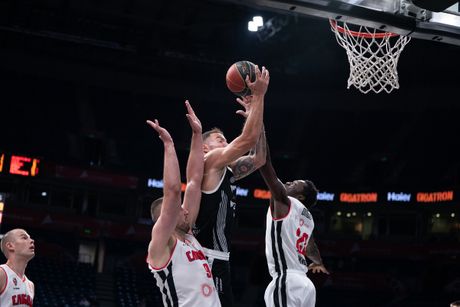 Partizan, Sloboda
