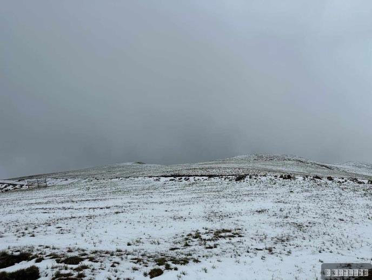 It's snowing on Zlatibor in the middle of spring! Will people be skiing instead of picnicking on May Day?