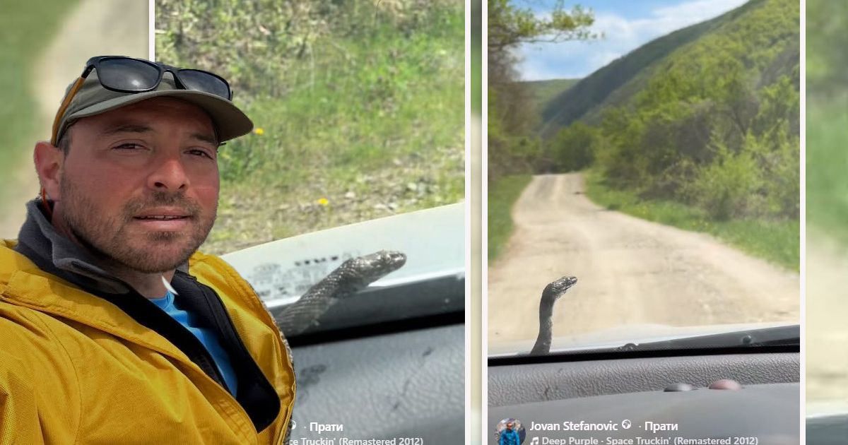 HEAD POPPED OUT OF THE HOOD DURING A DRIVE! Jovan drove with 'death' for 4 days without knowing: The video is incredible!