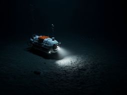 Marijanski rov