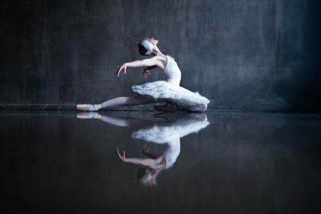 „Labudovo jezero“ Petra Iliča Čajkovskog