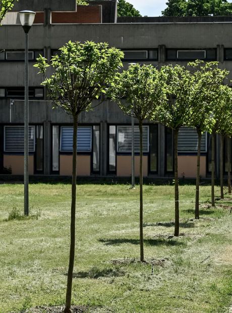 Procter&Gamble renovira školsko dvorište u Beogradu