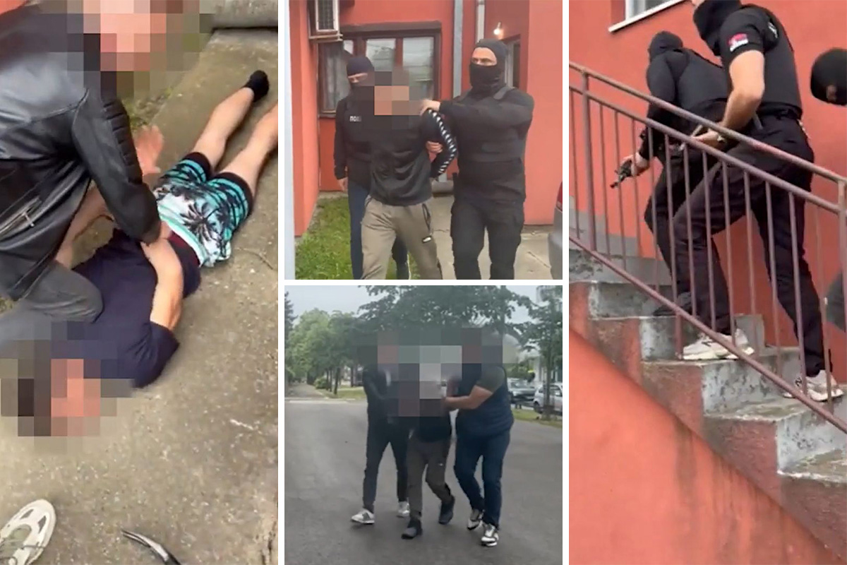 Watch Serbian police arrest suspected TikTok predator