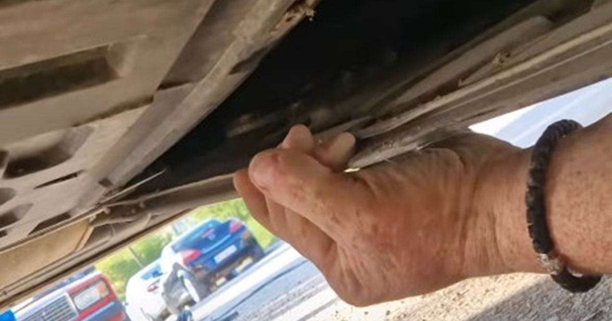 Pogledajte šta se zavuklo u luksuzni mercedes u Srbiji i to baš na Đurđevdan: Odmah je krenula akcija!