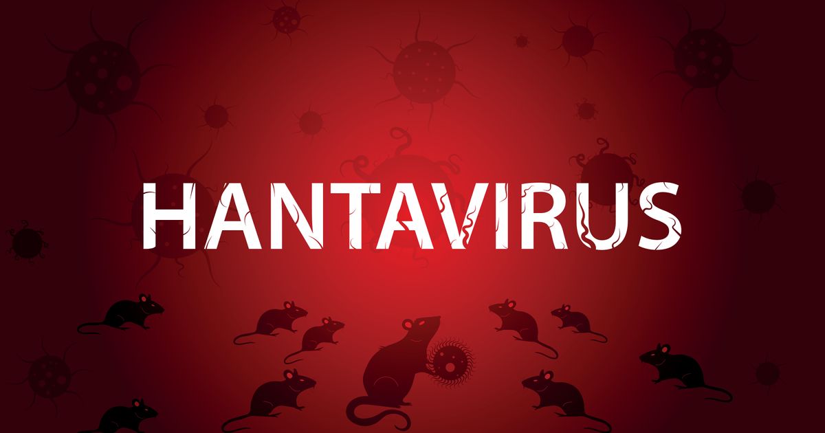 Šta se do sada zna o širenju hantavirusa? Povećan broj zaraženih, može ih biti i mnogo više, ovo su ČINJENICE!