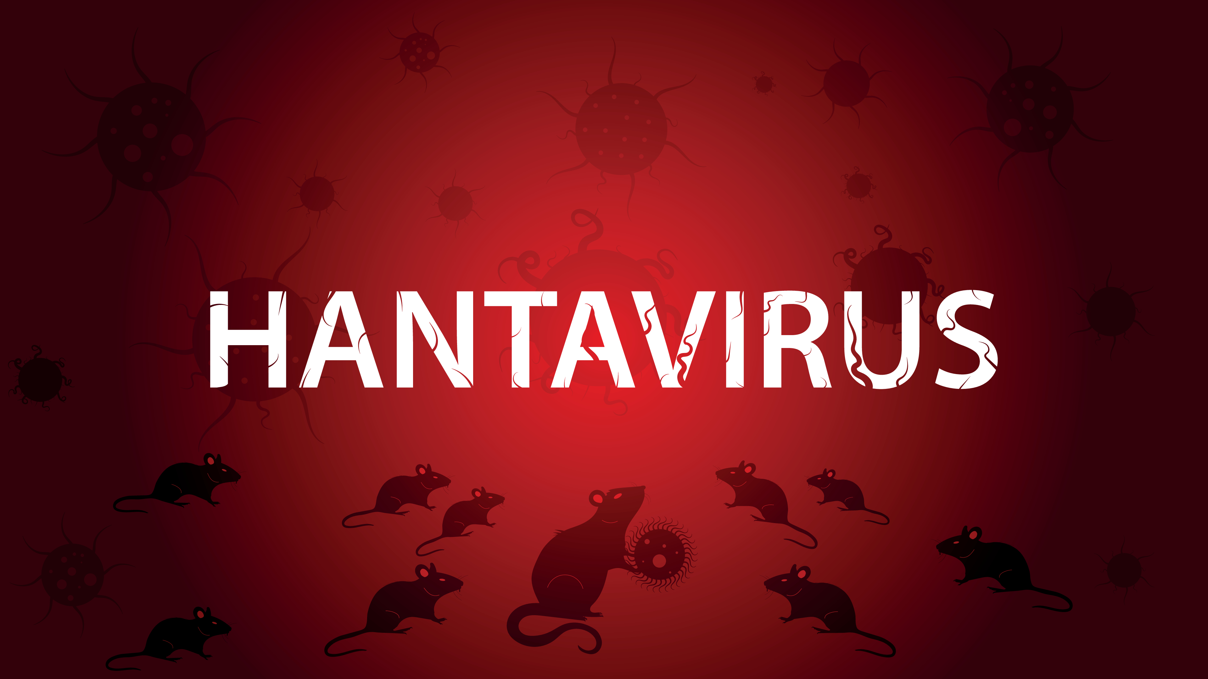 SZO se oglasio o hantavirusu