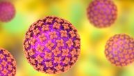 Održan hitan sastanak članica EU povodom izbijanja epidemije hantavirusa: "Na osnovu dostupnih dokaza..."