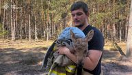 Gasili požar u černobiljskoj "zoni isključenja", pa ugledali njega: Odmah su krenuli u akciju spasavanja!