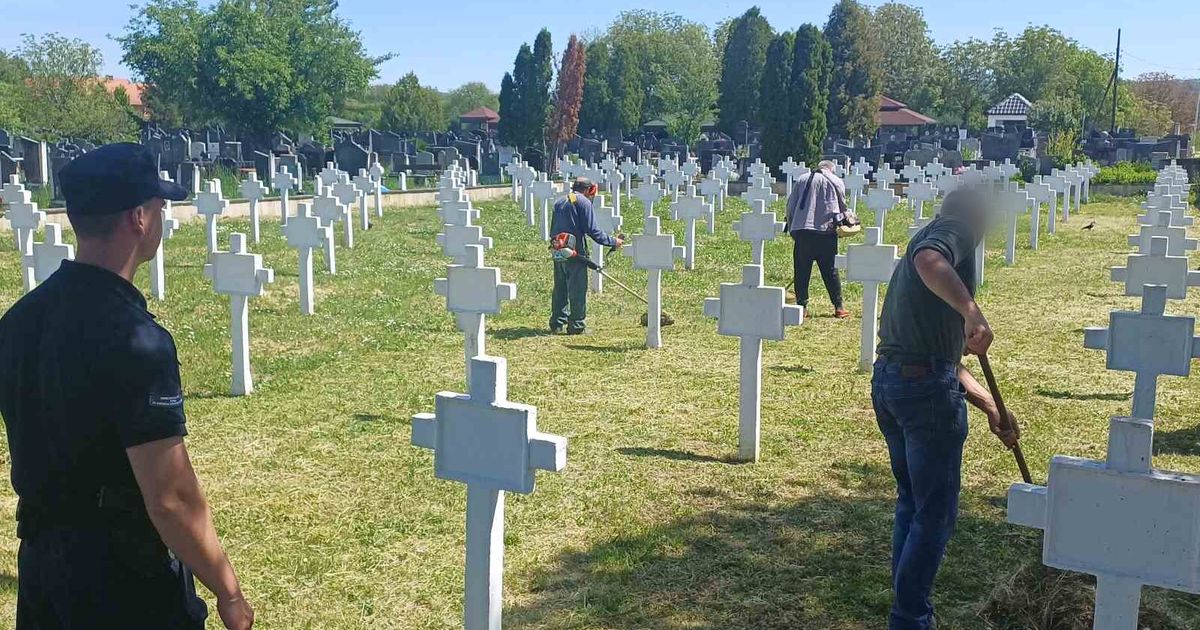 Osuđenici u Zaječaru treću godinu čiste francusko vojno groblje: UIKS učestvuje u čuvanju istorijske baštine