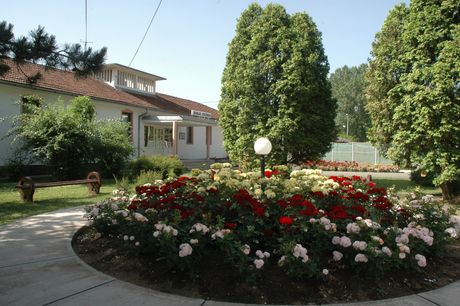Banja Dvorovi
