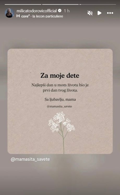 Milica Todorovic Milica Todorovic