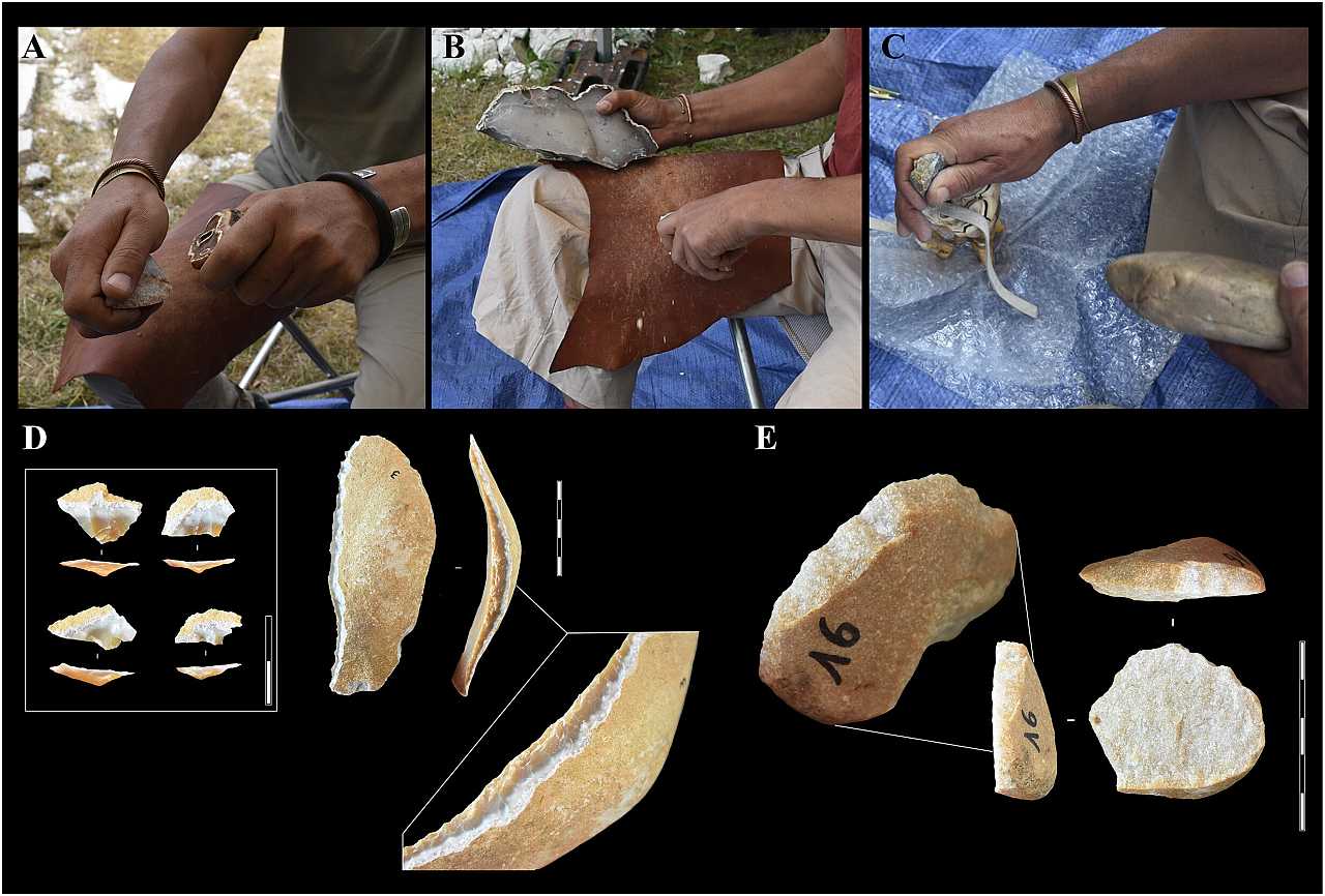 Eksperimenti sugerišu da su zubi nosoroga možda bili deo neandertalskog alata