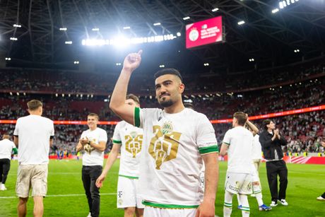 Mohamed Abu Fani