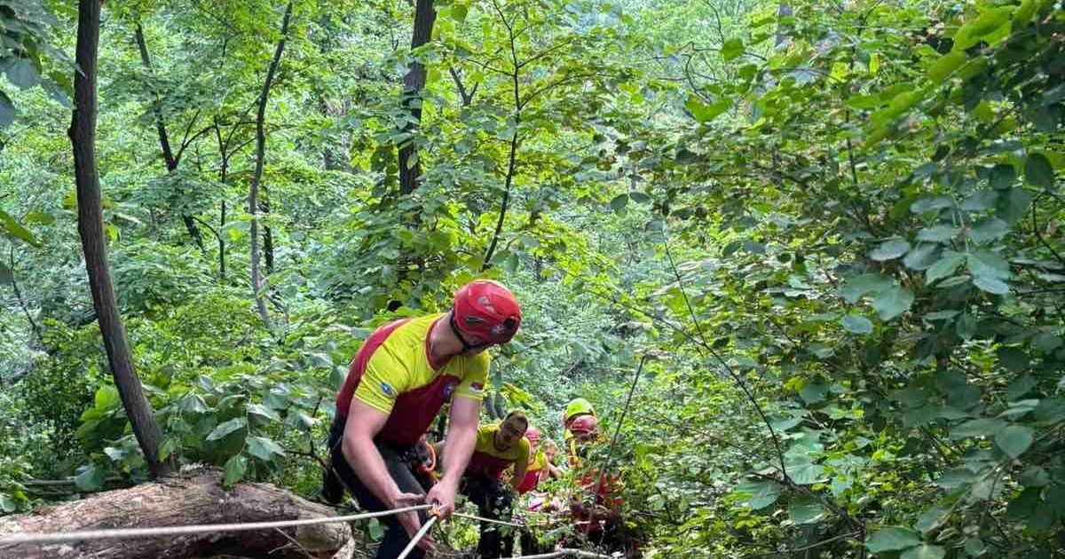 Čovek pao s velike visine, spasioci za manje od dva sata stigli do njega: Drama na Fruškoj Gori