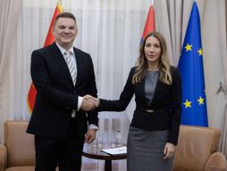 Dubravka Đedović Handanović