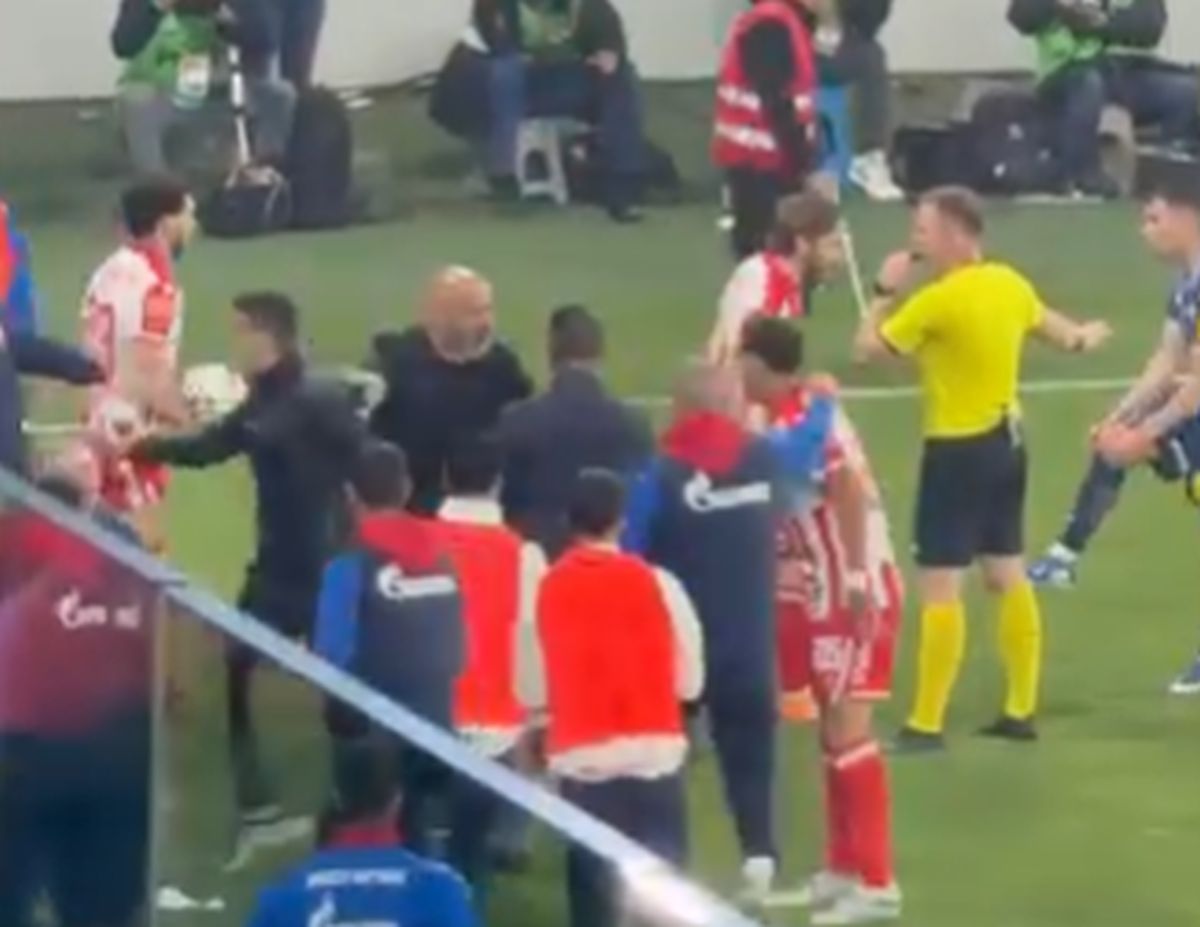 Dejan Stanković je smirivao frku između igrača Crvene zvezde i Vojvodine