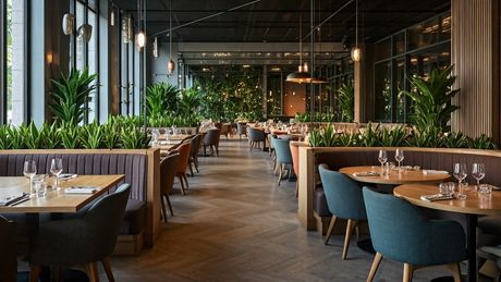 Restoran enterijer