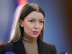 Adrijana Mesarovic resenja urucenja