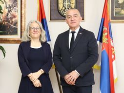 Nenad Vujić