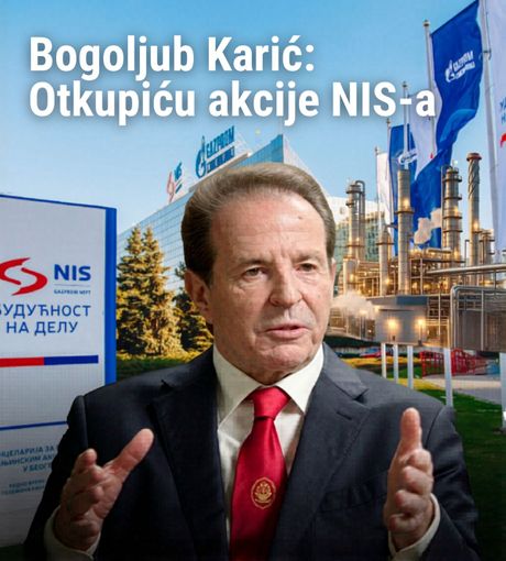 Bogoljub Karić