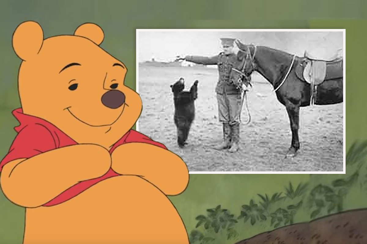 Medvedica Vinipeg, inspiracija Vinija Pua, bila je toliko pitoma da su deca ulazila u njen kavez u zoo-vrtu