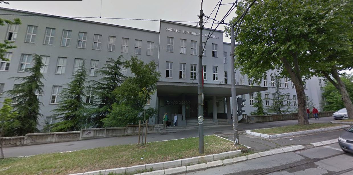 Slavica nije imala mleka, spremali joj klanicu, pa usledio obrt: Za dan skupili 150.000 dinara i otplatili je