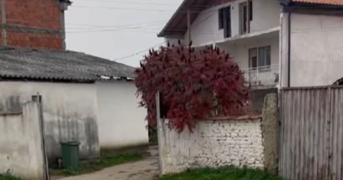 U ovoj trošnoj kući je nekada živela naša pevačica: Danas uživa u luksuzu, a ovde je provela detinjstvo
