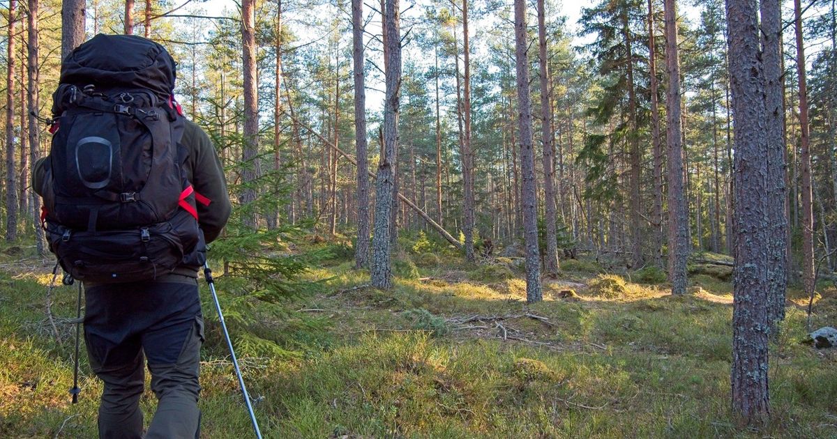 Šetao šumom i ugledao 